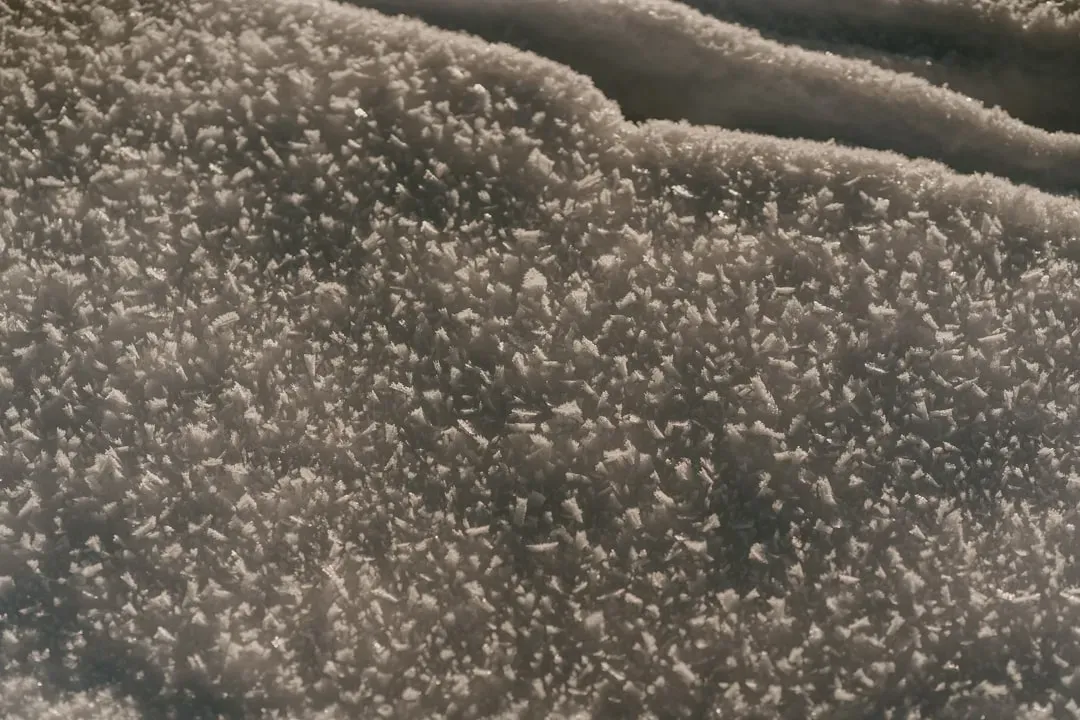 HEPA filter cross-section diagram showing how air purifiers trap pollen, dust mites, and pet dander particles at different si