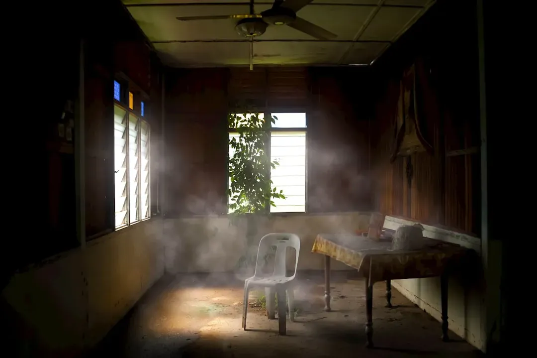 Cross-section illustration of a home showing various indoor air pollutants including dust particles, gas molecules, mold spor