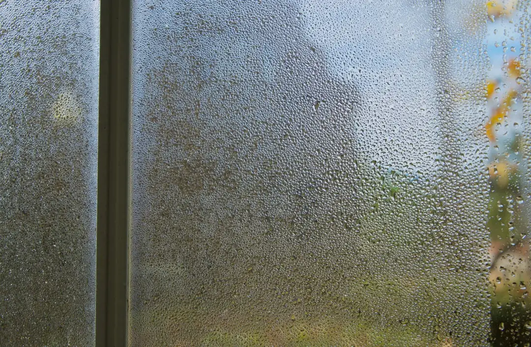Window condensation and mold growth showing high humidity damage in home interior